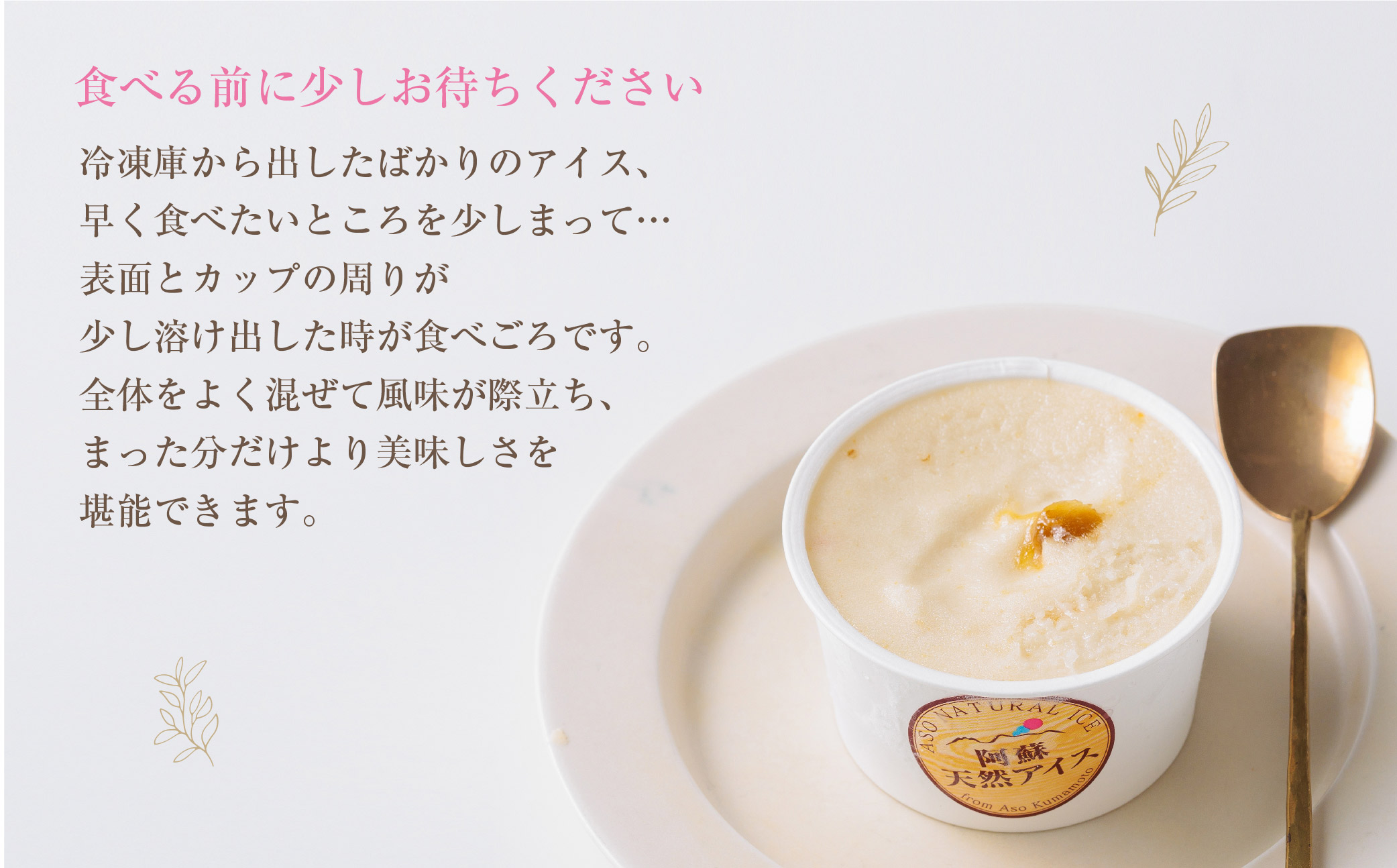 阿蘇天然アイス ジェラート18個セット（生キャラメルチョコ・ブルーベリー・抹茶・いちご・マンゴー・ミルク）6種×3個 計18個 グランプリ 受賞 詰め合わせ 食べ比べ バラエティ 冷たい 冷凍 贅沢 おやつ お中元 お歳暮 熊本県 阿蘇市