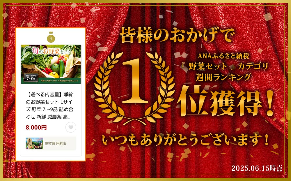 【定期便 全3回】<畑から直送>季節のお野菜セット Lサイズ（7～9品） 詰め合わせ やさい 果物 新鮮 減農薬 高原 旬 産地直送 毎月 採れたて 朝採れ みずみずしい 甘い 美味しい 人気 安心 安全 おすすめ お中元 御歳暮 熊本県 阿蘇市 定期便 全3回