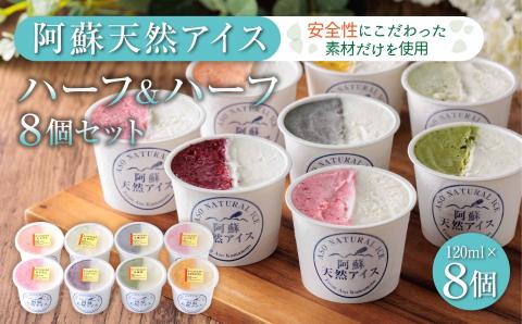 阿蘇天然アイス ハーフ&ハーフ 8個 セット グランプリ 受賞 詰め合わせ 食べ比べ バラエティ 素材 こだわり 人気 涼しい 冷たい 冷凍 さっぱり 美味しい 贅沢 果物 フルーツ おやつ 夏 お中元 お歳暮 熊本県 阿蘇市