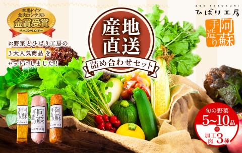 季節のお野菜とひばり工房 3大人気セットver.2 （野菜、ベーコンブロック、プレスハム、ポークソーセージ） 詰め合わせ 食べ比べ ドイツ コンテスト suffa 金賞 手作り 豚肉  新鮮 減農薬 高原 旬 産地直送 採れたて 朝採れ みずみずしい 甘い 美味しい 人気 安心 安全 おすすめ お中元 御歳暮 熊本県 阿蘇市