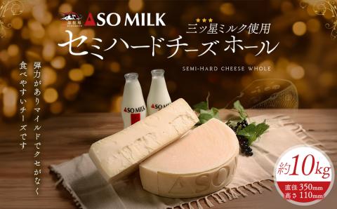 ASOMILK CHEESE セミハードホール 約10kg 阿部牧場 チーズ 希少 熟成 こだわり 人気 豪華 贅沢 乳製品 ASOMILK 牛乳 ミルク 熊本 阿蘇