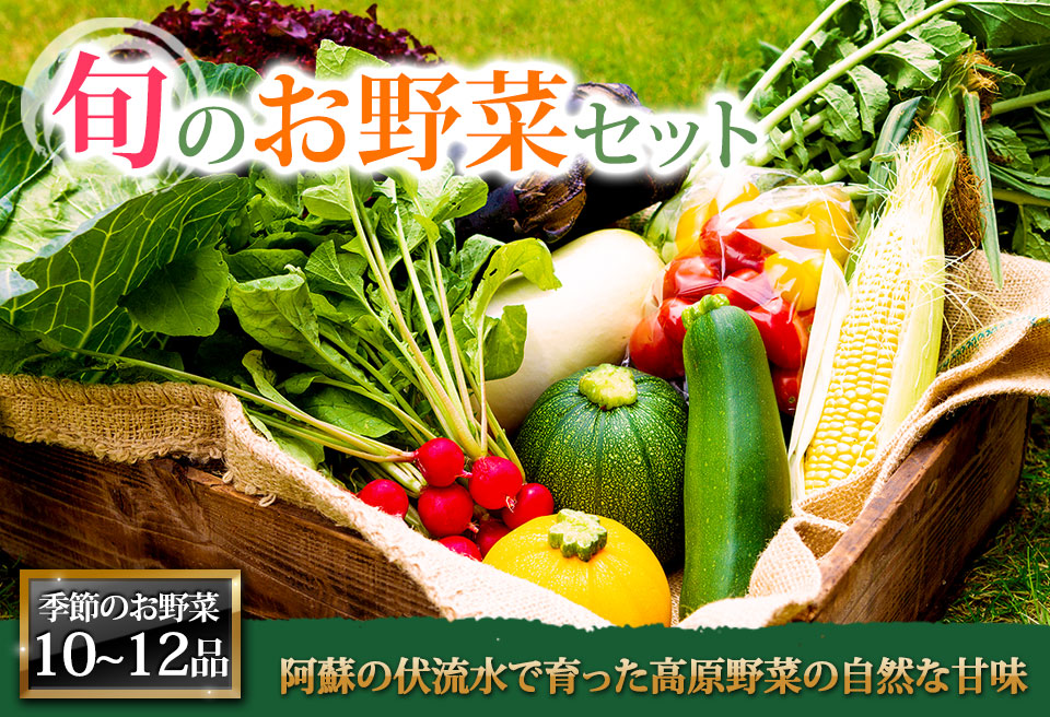【選べる内容量】季節の お野菜 セット XLサイズ（10～12品） 詰め合わせ たっぷり 大容量 やさい 果物 新鮮 減農薬 高原 旬 産地直送 採れたて 朝採れ みずみずしい 甘い 美味しい 人気 安心 安全 おすすめ お中元 御歳暮 熊本県 阿蘇市 XLサイズ（10～12品）