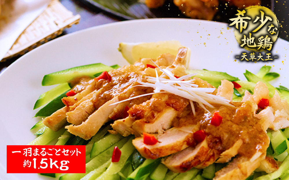 くまもと地鶏 天草大王 一羽まるごとセット 1.5kg もも肉 むね肉 ささみ 地鶏 肉 鶏肉 炭火焼 人気 希少 貴重 美味しい ヘルシー ジューシー コラーゲン 食べ比べ 熊本 阿蘇