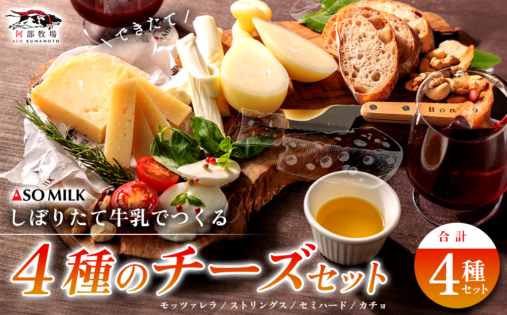 牧場の風を感じる 阿部牧場しぼりたて牛乳でつくる出来立てチーズセット 阿部牧場 チーズ 乳製品 詰め合わせ 4種類 人気 美味しい 濃厚 こだわり 食べ比べ バラエティ 熊本 阿蘇