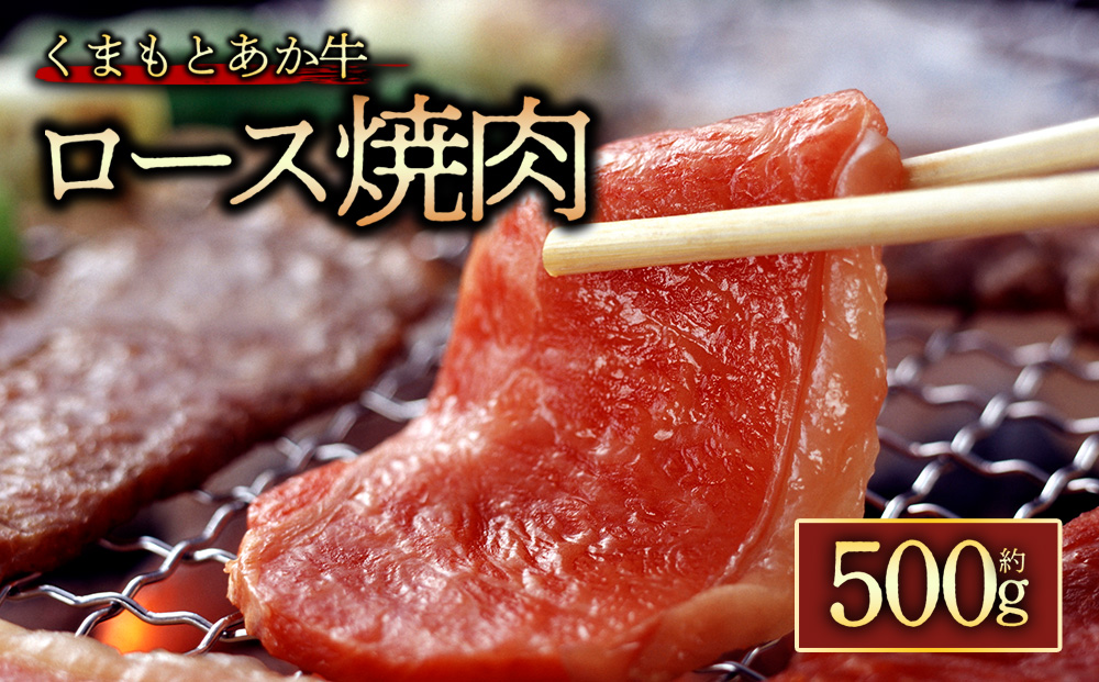 【GI認証】くまもとあか牛ロース【焼肉500g 】阿蘇牧場 熊本県 阿蘇市 【焼肉用】500g