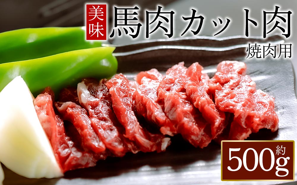 馬肉 焼肉用 500g カット済 桜屋 桜屋 肉 人気 美味しい 新鮮 特産品 ヘルシー 高タンパク おすすめ BBQ 冷凍 お中元 御歳暮 おつまみ プレゼント 贈答用 熊本県 阿蘇市