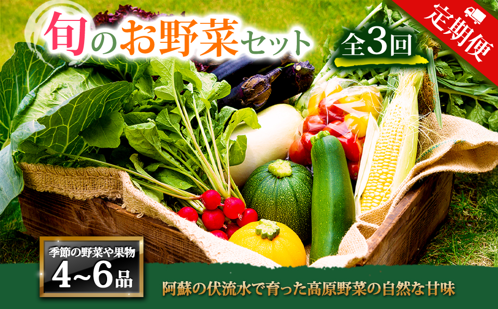 【定期便 全3回】<畑から直送>季節のお野菜セット Mサイズ（4～6品） 詰め合わせ やさい 果物 新鮮 減農薬 高原 旬 産地直送 毎月 採れたて 朝採れ みずみずしい 甘い 美味しい 人気 安心 安全 おすすめ お中元 御歳暮 熊本県 阿蘇市 定期便 全3回