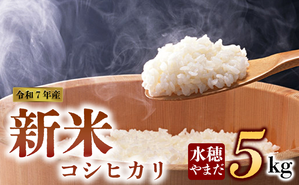 令和7年産 新米 コシヒカリ 5kg 白米 水穂やまだ グランプリ獲得 R7年 お米 人気 美味しい  弾力 粘り 食感 湧水 ごはん 熊本県 阿蘇市