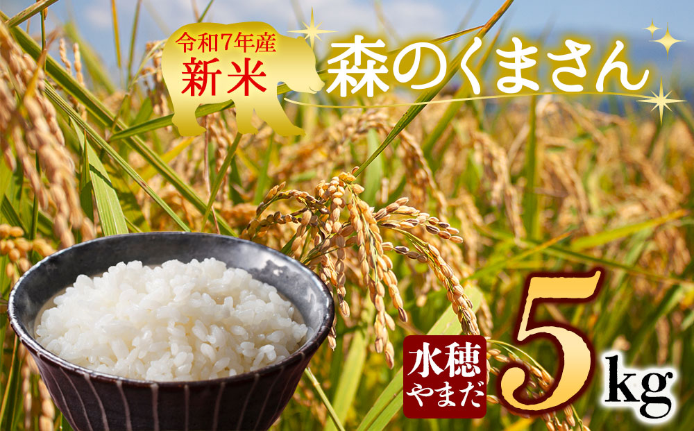 令和7年産 新米 森のくまさん 5kg 白米 水穂やまだ グランプリ獲得 R7年 お米 人気 美味しい  弾力 粘り 食感 湧水 ごはん 熊本県 阿蘇