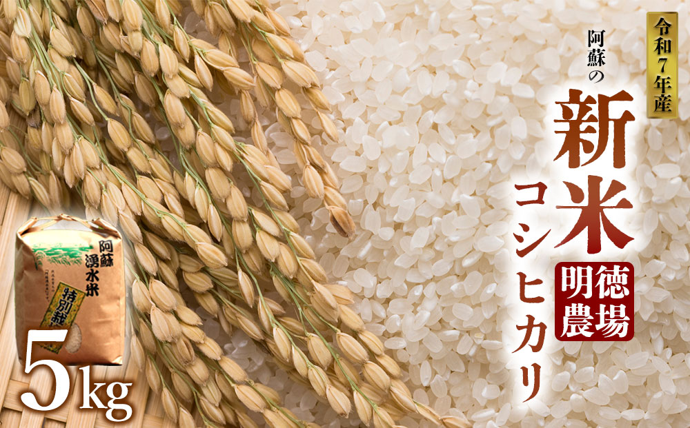 令和7年産 新米 コシヒカリ 5kg 白米 明徳農場 R7年 美味しい 寒暖差 湧き水 お取り寄せ おすすめ 人気 熊本県 阿蘇市
