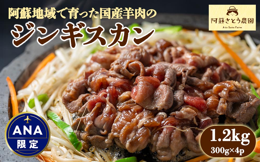 【選べる内容量】【国産】ジンギスカン 1.2kg 阿蘇さとう農園 阿蘇地域で生産した貴重な国産羊肉！ 冷凍 小分け 熊本特産 晩白柚風味 簡単調理 焼くだけ 本格 貴重 熊本グルメ ご当地グルメ 特製漬け込み お取り寄 BBQ 焼肉 食材 おかず ヘルシー 熊本県 阿蘇市 1.2kg