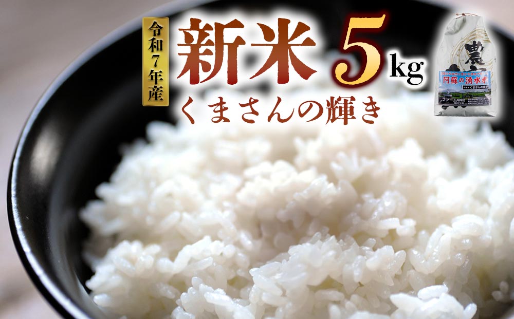 新米 令和7年産 くまさんの輝き 5kg 白米 ファーム中村 R7年 美味しい 寒暖差 湧き水 お取り寄せ おすすめ 人気 熊本県 阿蘇市