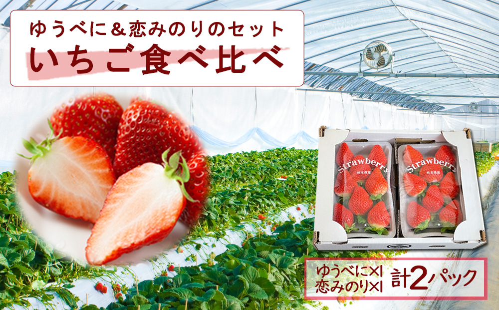 【選べる内容量】いちご 食べ比べセット ゆうべに・恋みのり 各1パック 計2パック 高藤農園 美味しい 人気 あまい 甘い イチゴ 詰め合わせ フルーツ 旬 果実 クリスマス お歳暮 御中元 ギフト おやつ ふるさと納税 熊本 阿蘇 各1パック（計2パック）