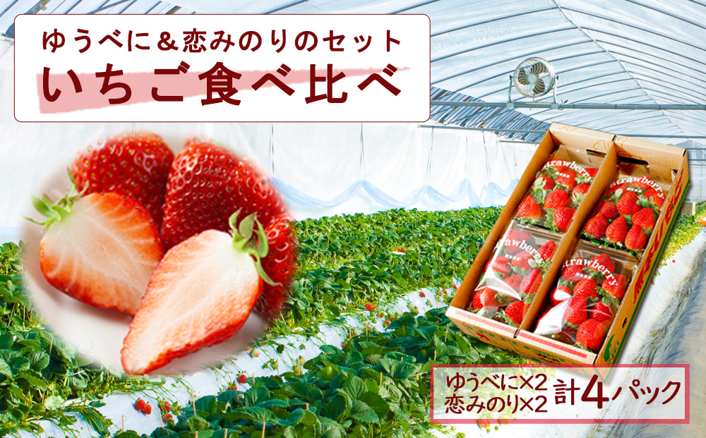 【選べる内容量】いちご 食べ比べセット ゆうべに・恋みのり 各2パック 計4パック 高藤農園 美味しい 人気 あまい 甘い イチゴ 詰め合わせ フルーツ 旬 果実 クリスマス お歳暮 御中元 ギフト おやつ ふるさと納税 熊本 阿蘇 各2パック（計4パック）