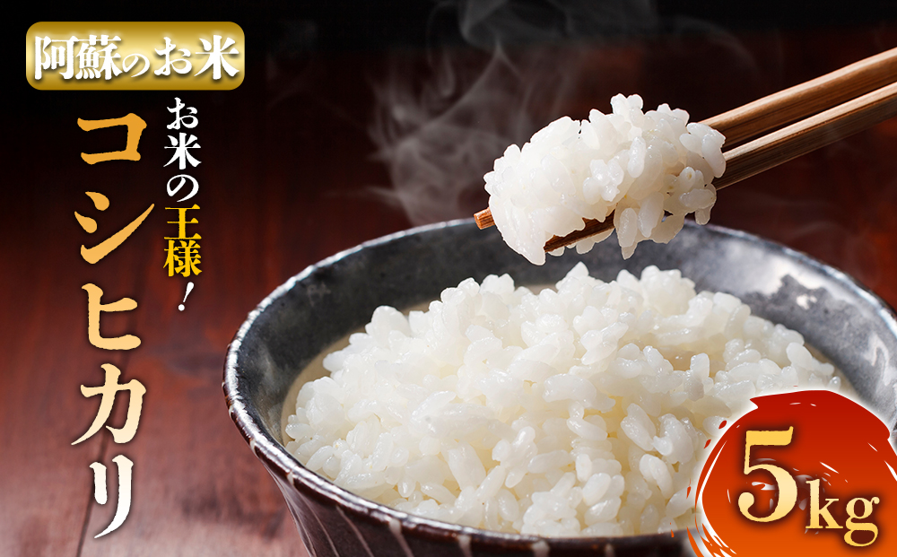 【選べる回数】R7年産コシヒカリ 5kg プロ厳選の産地直送米 令和7年産 阿蘇の美味しいお米をお届け！精米 白米 人気 美味しい 甘み 香り ツヤ おすすめ ごはん 熊本県 阿蘇市 通常便（1回）