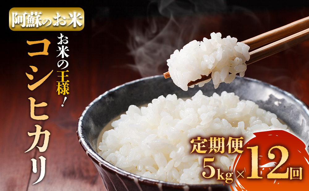 【選べる回数】定期便全12回 R7年産 コシヒカリ 5kg プロ厳選の産地直送米 令和7年産 阿蘇の美味しいお米をお届け！精米 白米 人気 美味しい 甘み 香り ツヤ おすすめ ごはん 熊本県 阿蘇市 定期便（全12回）