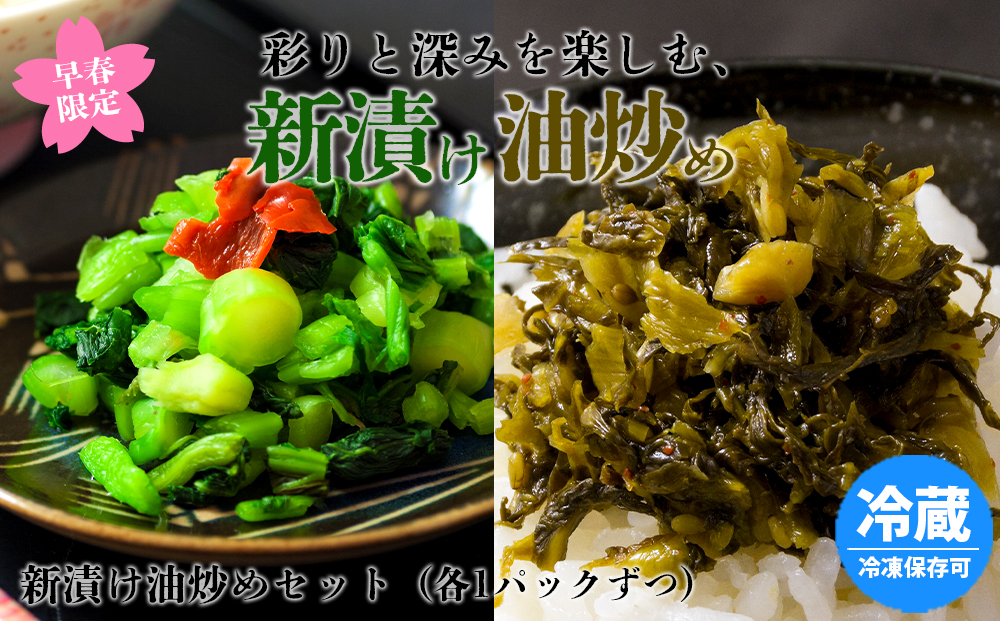 【選べるセット】【早春限定】 春を彩りと深みを感じる、高菜の浅漬け・古漬け高菜の油炒め 2種セット 各1パック 食べ比べセット おためし 旬 高菜油いため 期間限定 数量限定 たかな 山一食品 菊池食品 ご当地 郷土料理 お取り寄せ 漬物 冷蔵 冷凍保存可能 おつまみ ごはん おかず ピリ辛 春 熊本県 阿蘇市 高菜2種食べ比べセット