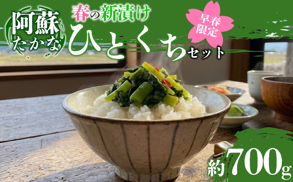 【選べるセット】【期間限定】春の「ひとくち阿蘇」セット 新漬け高菜3種食べ比べ 計700g たかな 青たかな 青高菜 漬物 旬 春 数量限定 ご当地 阿蘇高菜 郷土料理 漬物 冷蔵 冷凍保存可能 おつまみ ごはん おかず ピリ辛 野菜 加工食品 熊本県 阿蘇市 新漬けたかな3種セット
