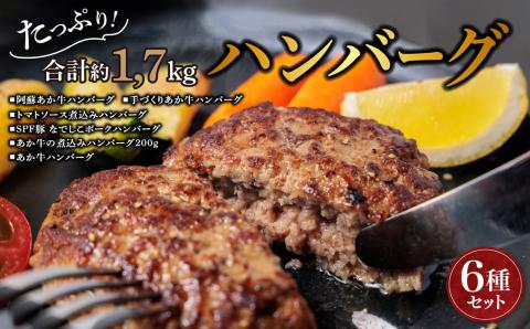 ハンバーグ バラエティーセット 6種類 約1.7kg あか牛 ポーク トマト 煮込み セット 詰め合わせ 食べ比べ 人気 美味しい 熊本 阿蘇