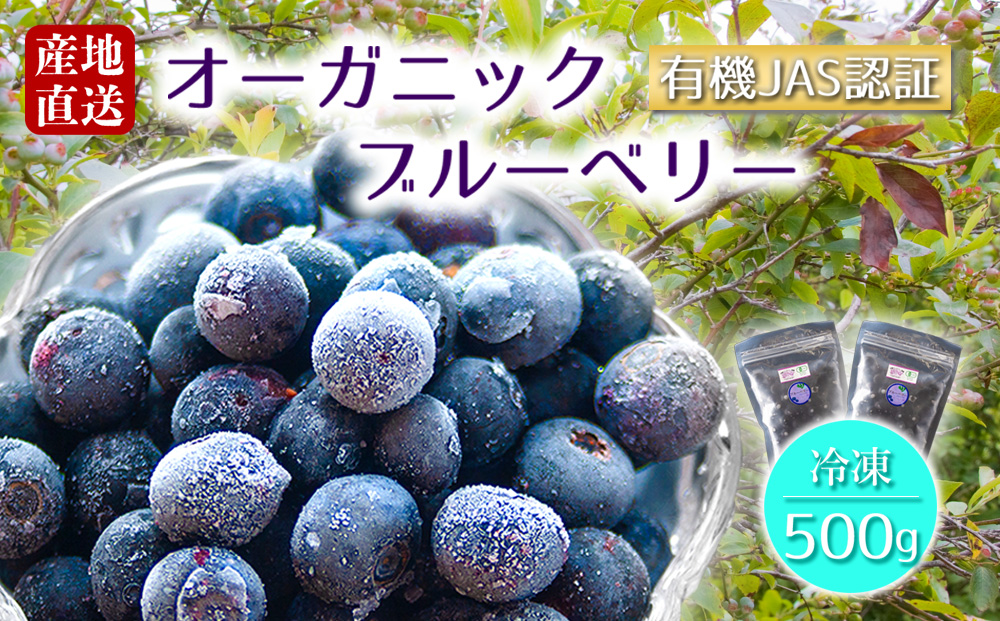 [冷凍] 有機JAS認証 オーガニック ブルーベリー 500g (250g×2P) 果物 フルーツ 有機JAS 小分け 冷凍 アイス スムージー ジュース ジェラート アレンジ 安心 安全 熊本 阿蘇