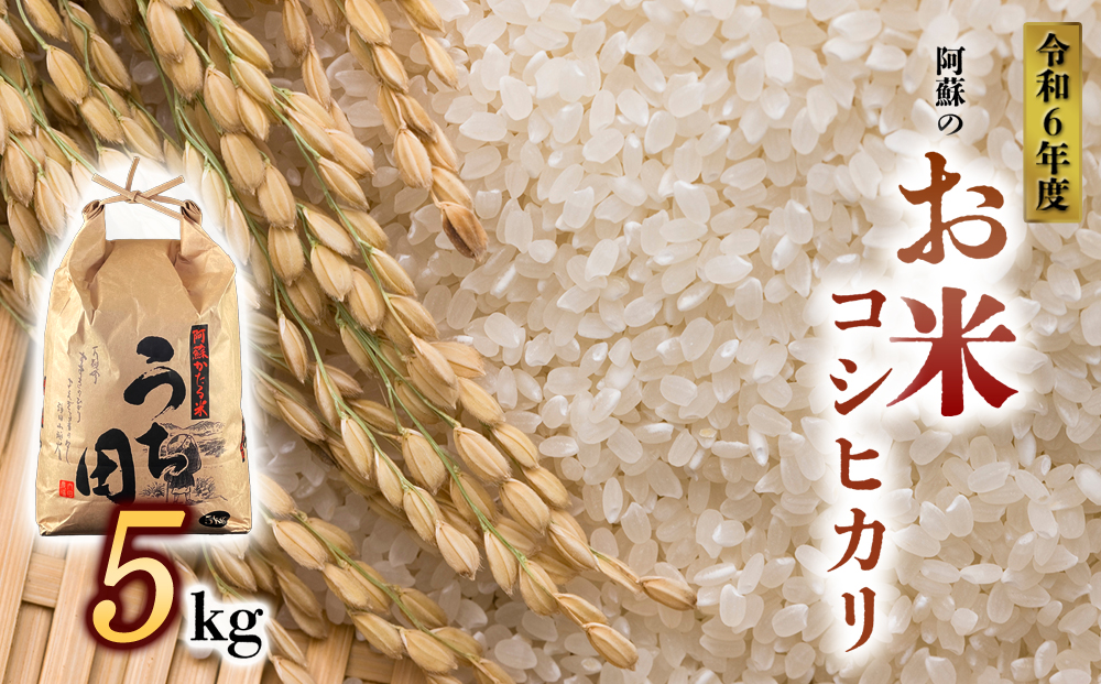 [令和6年度] 内田農場の新米 コシヒカリ 5kg 1袋 白米 お米 人気 美味しい 白ご飯 こだわり 農業 甘味 香り ツヤ お米の王様 熊本県 阿蘇市