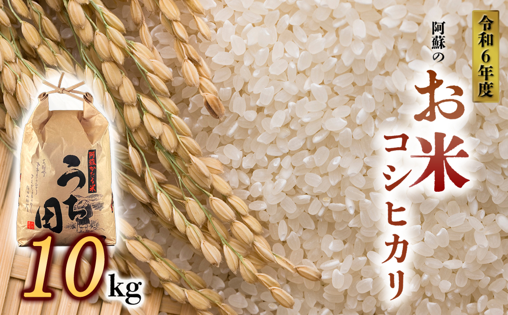 [令和6年度] 内田農場の新米 コシヒカリ 10kg (5kg×2袋) 白米 お米 人気 美味しい 白ご飯 こだわり 農業 甘味 香り ツヤ お米の王様 熊本県 阿蘇市