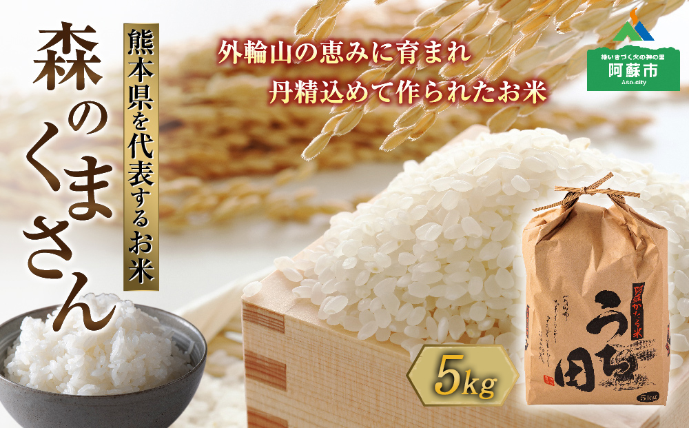 [令和6年度] 内田農場の新米 森のくまさん 5kg 1袋 白米 お米 人気 美味しい 白ご飯 こだわり 農業 甘味 香り ツヤ 熊本県 阿蘇市