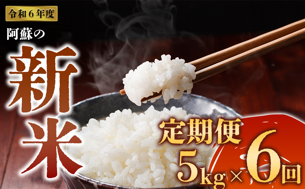 令和6年度 阿蘇の美味しいお米定期便 5kg×6回(隔月)白米 お米 米 定期便 人気 熊本県 阿蘇市