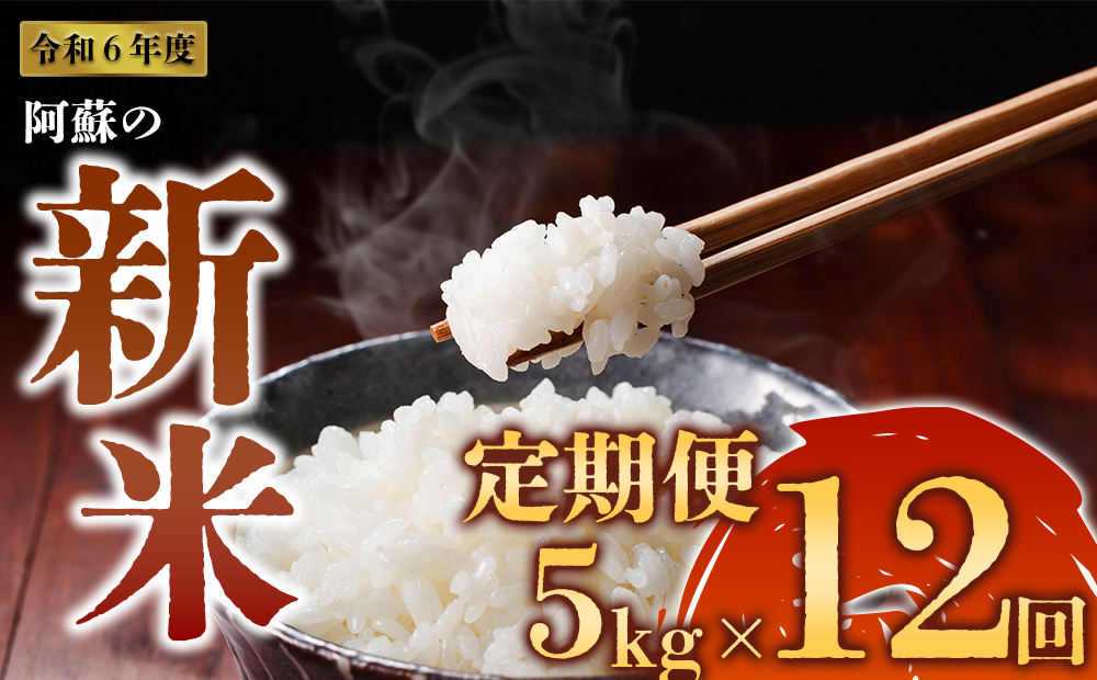 令和6年度 阿蘇の美味しいお米定期便 5kg×12回(毎月) 白米 お米 米 定期便 人気 熊本県 阿蘇市