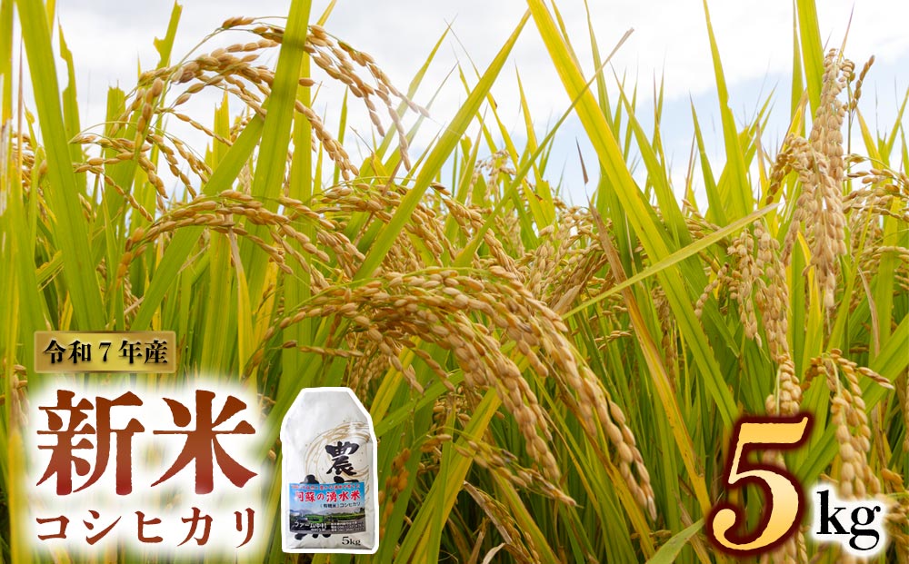 新米 令和7年産 コシヒカリ 5kg(白米)ファーム中村 お米 人気 美味しい 弾力 粘り 食感 熊本県 阿蘇市