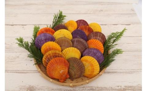 S021-003_熊本県天草崎津産 緋扇貝（ひおうぎがい）彩り 16枚