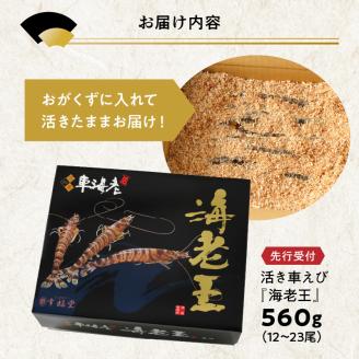 S005-006_【鮮度抜群】《美味しさの極み》天草産・幸福堂の活き車えび『海老王』（560g）〈先行予約〉