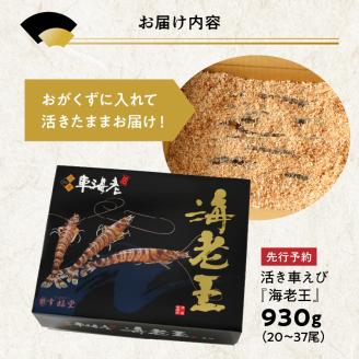 S005-008_【鮮度抜群】《美味しさの極み》天草産・幸福堂の活き車えび『海老王』（930g）〈先行予約〉