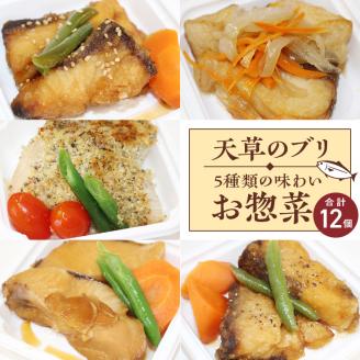 S010-064_ブリの惣菜5種類12食セット