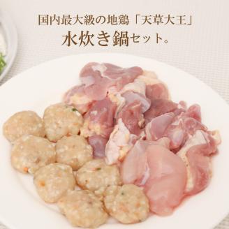 S011-014_天草大王鍋セット(天草大王鶏肉・天草大王濃縮スープ・天草大王つみれ等) 各2P