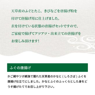 S011-018_【天草産】海の幸唐揚げ三昧