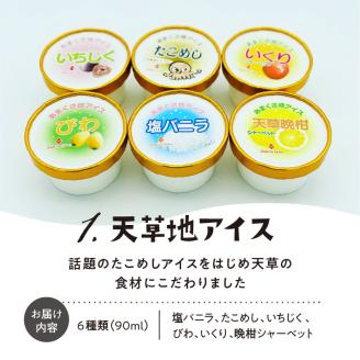 S030-005_熊本・天草ご当地アイスセット
