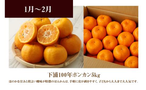 S040-013_【定期便 3回】厳選！天草 下浦地区の農家が愛情込めて育てた柑橘3種〈先行予約〉