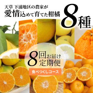 S040-019_【定期便8回】天草 下浦地区の農家が愛情込めて育てた柑橘8種食べ尽しコース〈先行予約〉