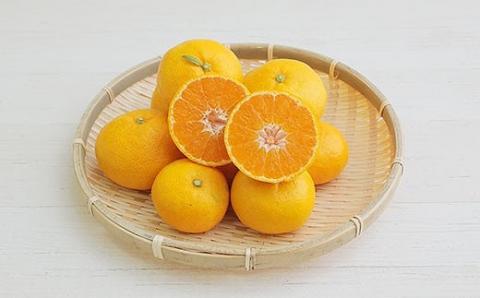 S040-021_農家の手摘み 完熟早生温州みかん 約7.5kg〈先行受付〉