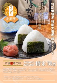 S051-T04_【3ヶ月定期便】特別栽培米 特別大地米 精米 5kg