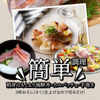 S059-013_天草わくわく旬魚刺身づくし（さく）3～4人前