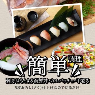 S059-014_天草わくわく旬魚刺身づくし（さく）5～6人前