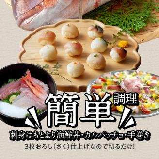 S059-015_天草わくわく旬魚刺身づくし（さく）8～9人前