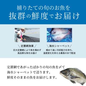 S059-018_【3枚おろし済み】 天草わくわく便 まるごと鮮魚セット