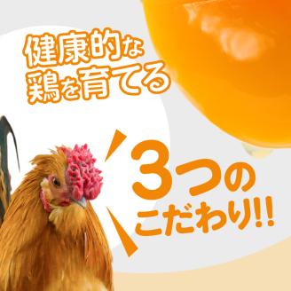 S061-004_平飼い 有精卵 30個 卵 たまご
