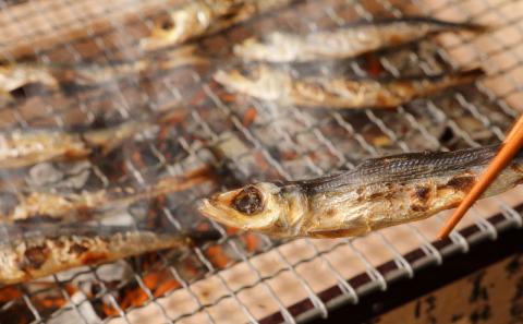 S113-001_まるまのひもの