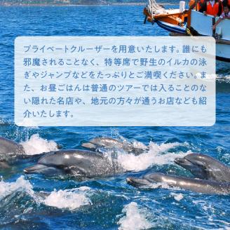 S125-004_楽園体験プライベート天草（ツアー：イルカウォッチング）