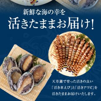 S002-003_活車海老とアワビ詰合せ 車海老 約10尾 アワビ 3～5枚