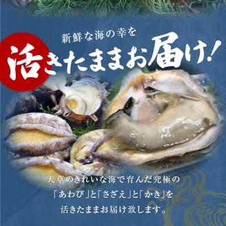 S002-020_【期間限定】天草の旬！バーベキューセット　約3人前